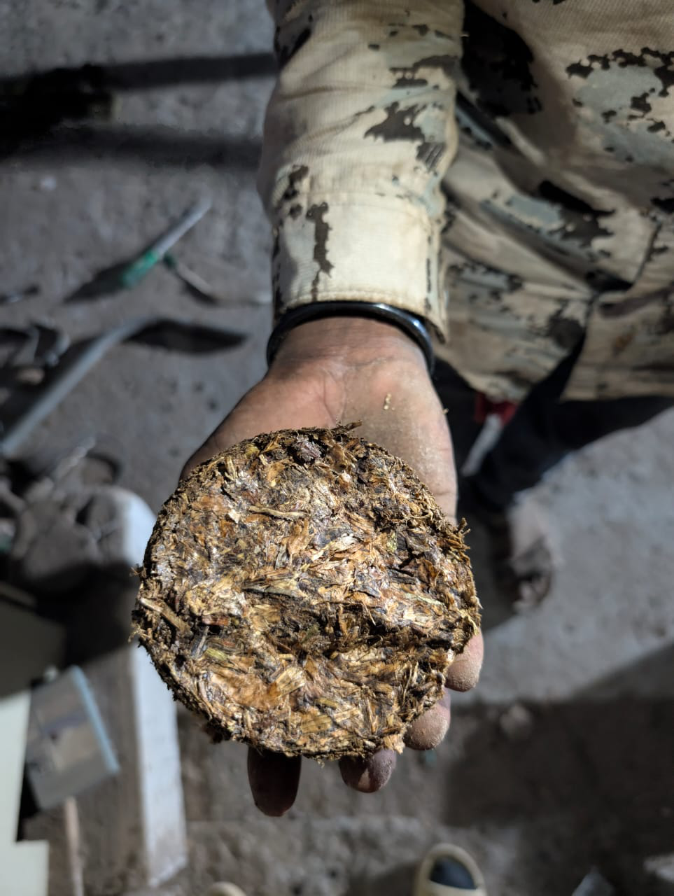 Bio-coal Export Shipment