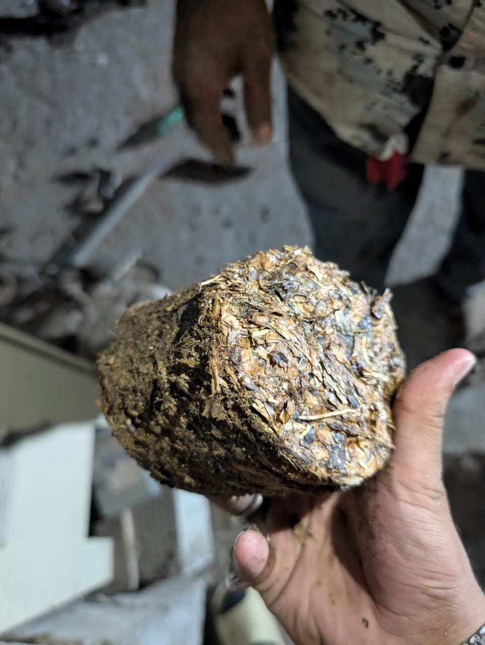 Sustainable Bio-coal