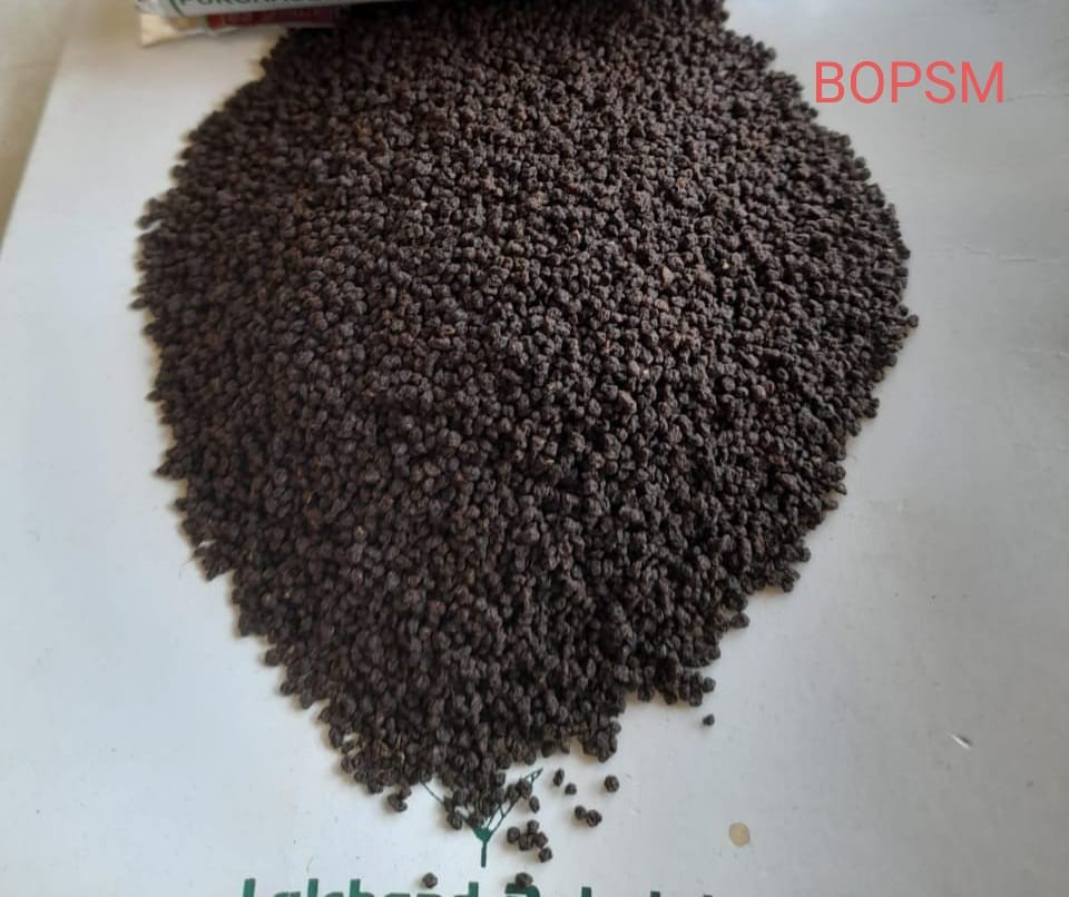 BOPSM Premium Export Tea